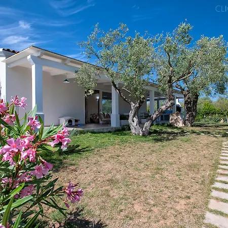 Celeste Countryside Deluxe Near The Beaches Of Sardinia 阿尔盖罗